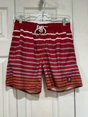 💙 Liquid Men’s Swim Trunks Bathing Suit Red Gray White Stripes - Small (01316)